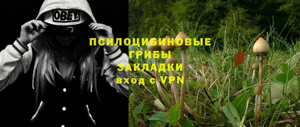 COCAINE Гусев