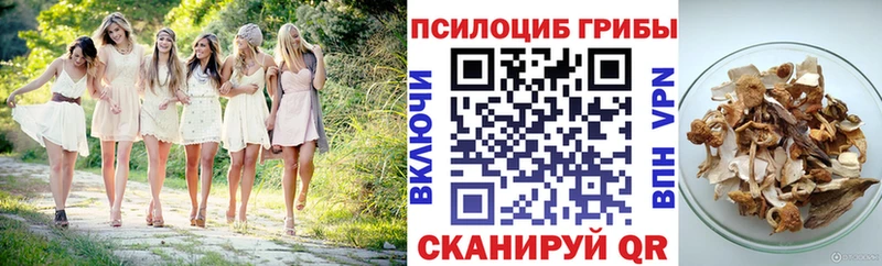 Псилоцибиновые грибы Psilocybine cubensis  Купить закладки  Мыски 
